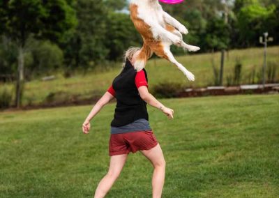 Dog Agility Frisbee Samford