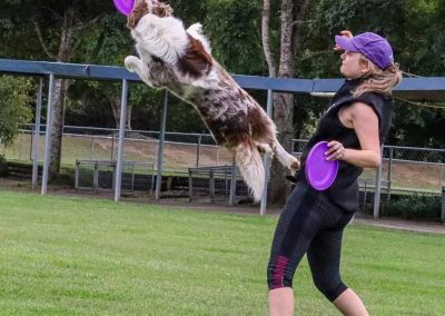 Dog Agility Training Samford