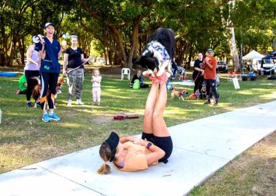Dog Trick Training Brisbane