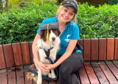 Kaddatz Dog Training Boarding Brisbane