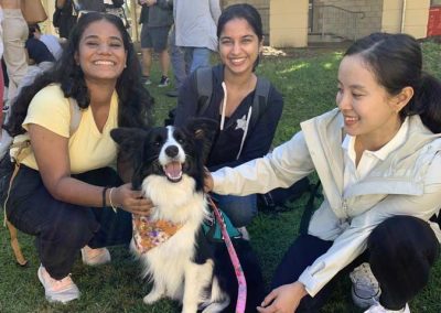 Personalised Dog Training Brisbane