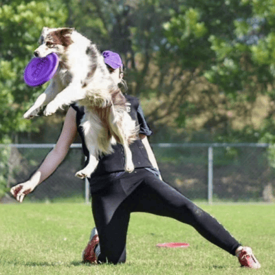 Frisbee Group Class