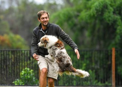 Dog Training Agility Behaviour Sport Samford Brisbane 1