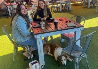 Dog Training Agility Behaviour Sport Samford Brisbane 14