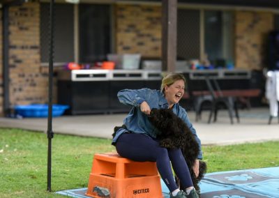 Dog Training Agility Behaviour Sport Samford Brisbane 4